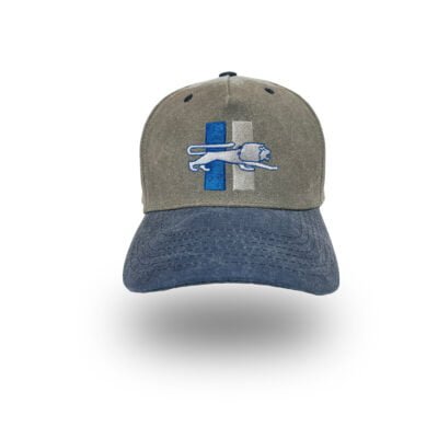 Detroit Lions retro logo baseball hat by Bermuda Brims